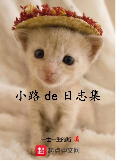 贤婿2原著小说