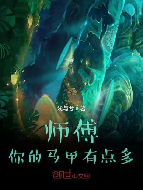 师傅，你的马甲有点多