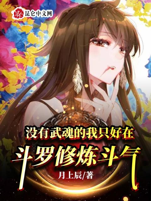 没有武魂的我只好在斗罗修炼斗气