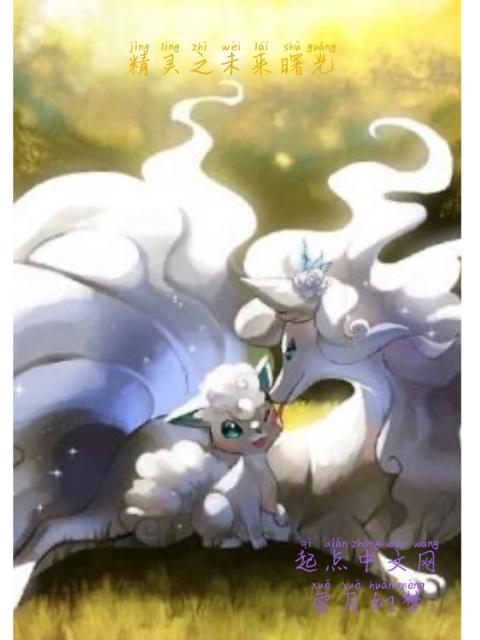 精灵之未来曙光