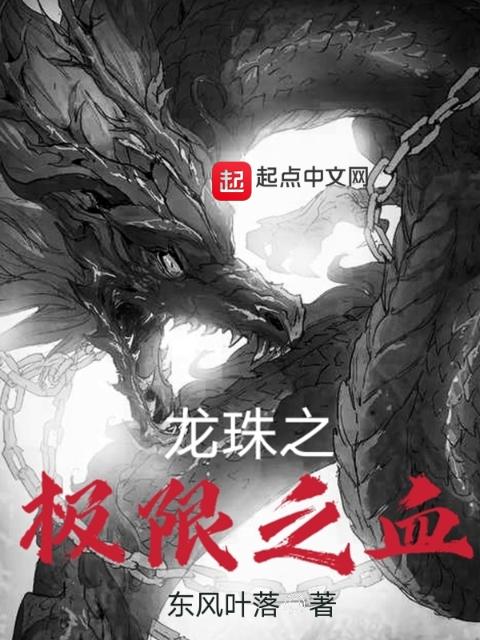 龙珠之极限之血