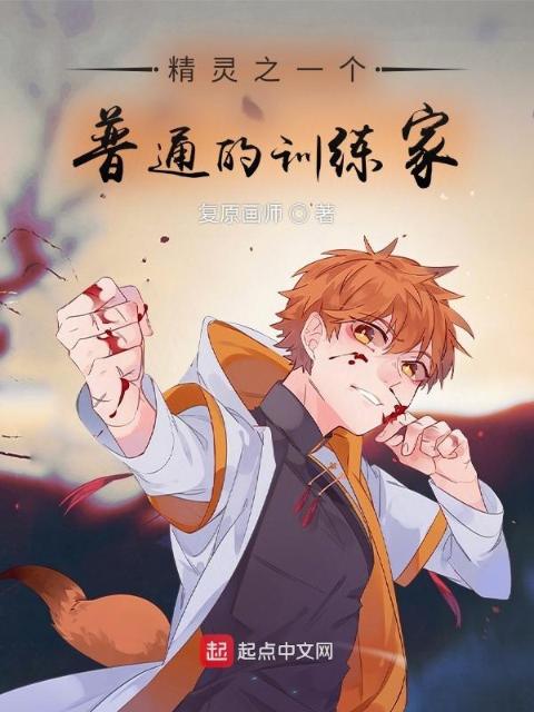 精灵之一个普通的训练家