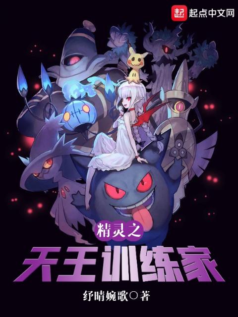 精灵之天王训练家