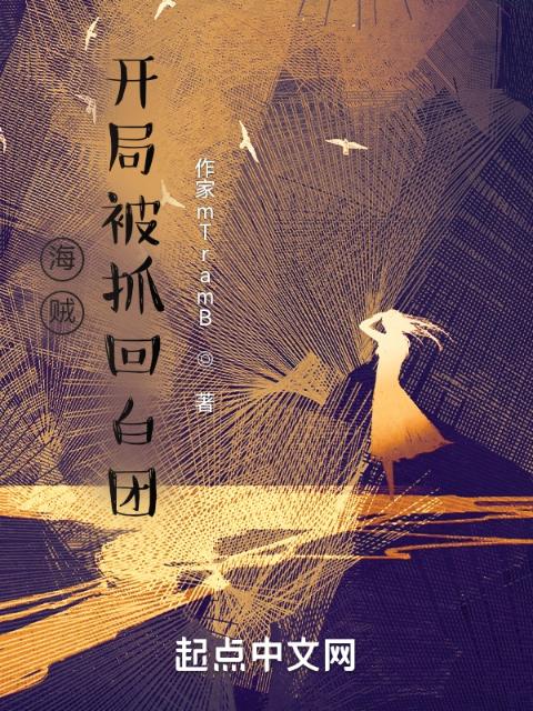 海贼：开局被抓回白团