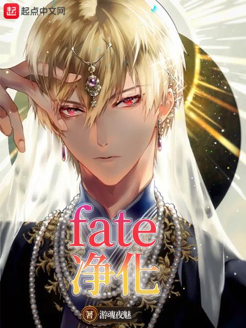 fate净化