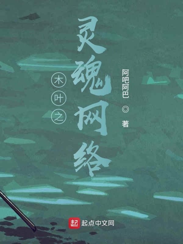 木叶之灵魂网络