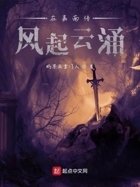 在嘉南传风起云涌