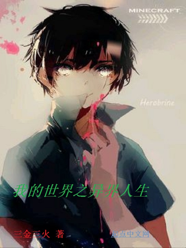 我的世界之异界人生