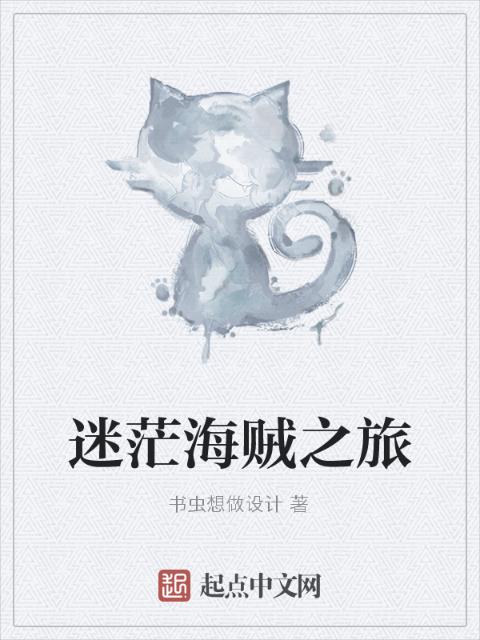 迷茫海贼之旅
