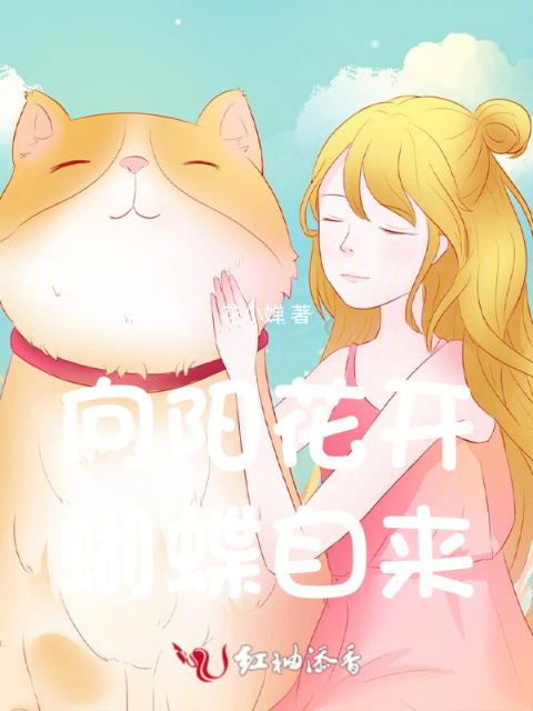 向阳花开，蝴蝶自来