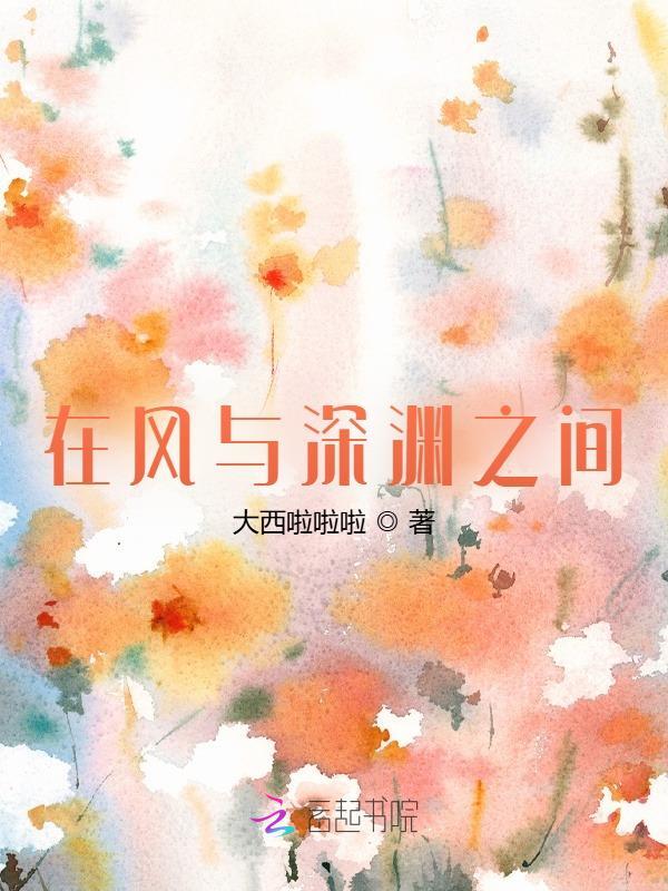 在风与深渊之间