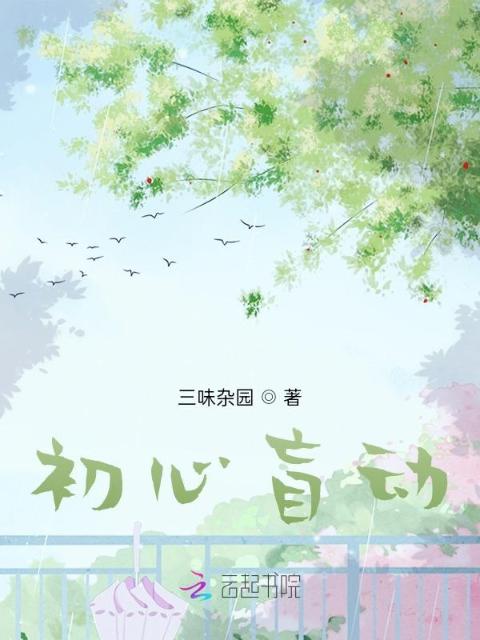 初心盲动
