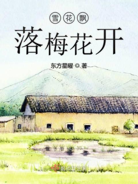 雪花飘落梅花开