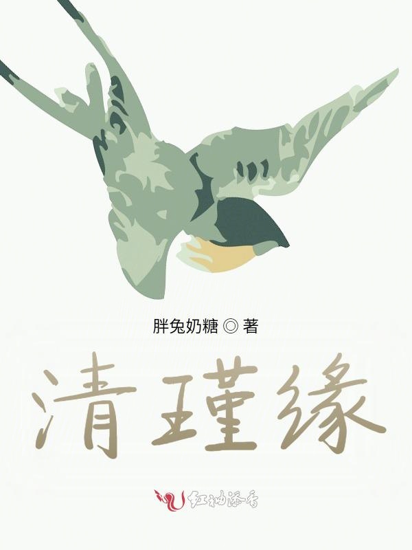 清风为我而来