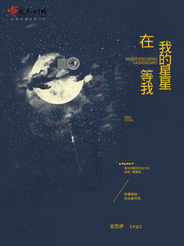 我的星星在等我