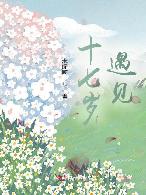 十七岁，遇见