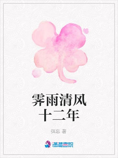 霁雨清风十二年