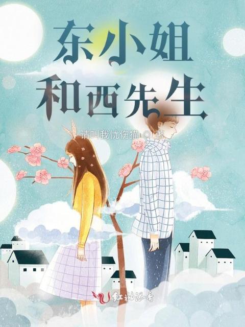 东小姐和西先生