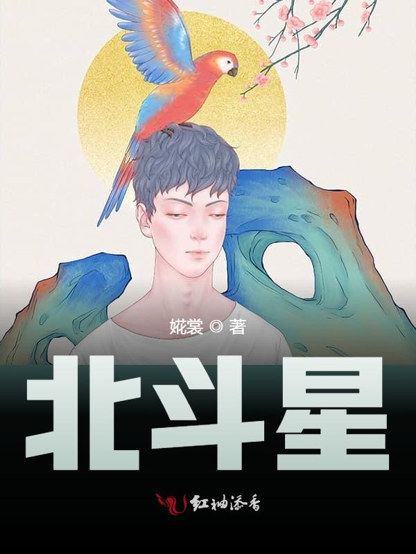 北斗星
