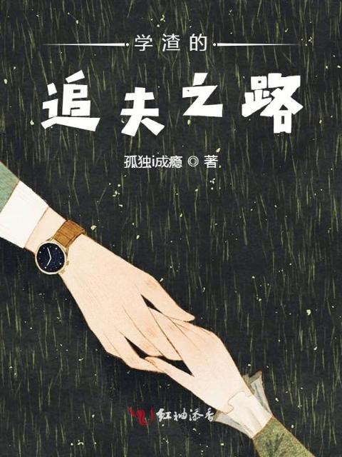 学渣的追夫之路
