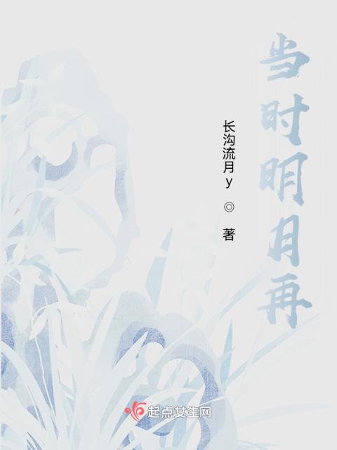 当时明月再