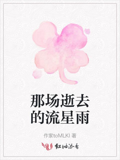 那场逝去的流星雨