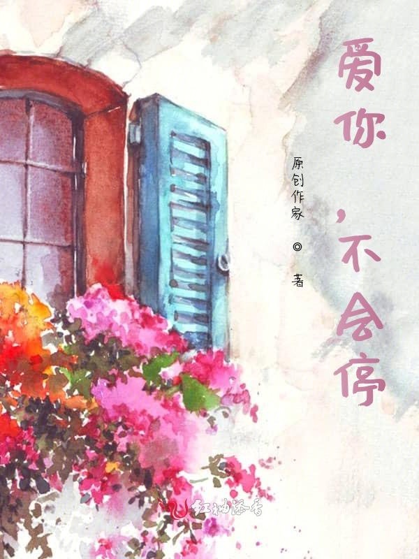 爱你，不会停