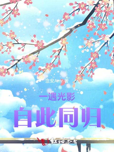 一遇光影，自此同归