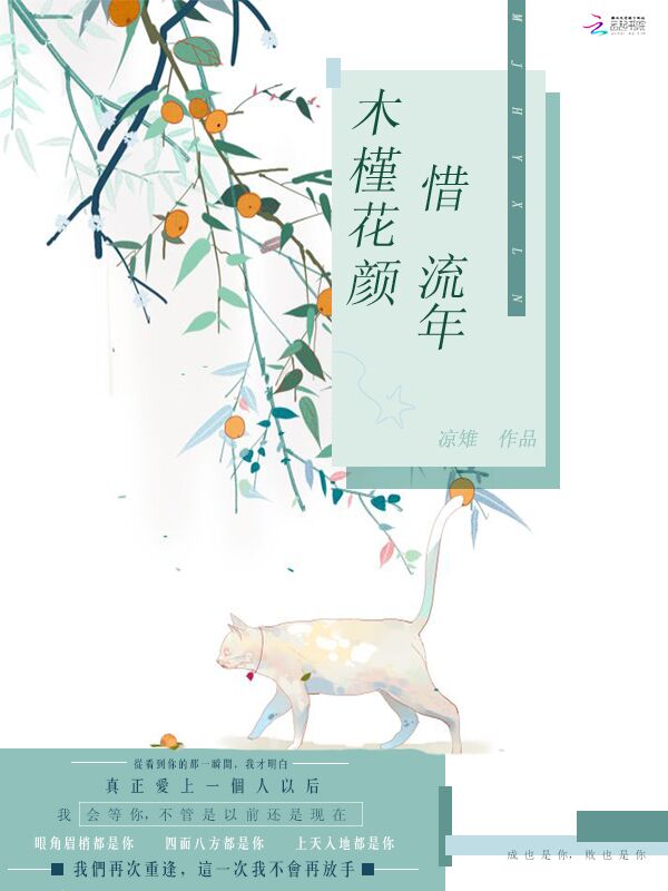 木槿花颜惜流年