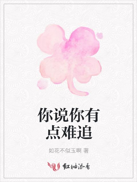 你说你有点难追