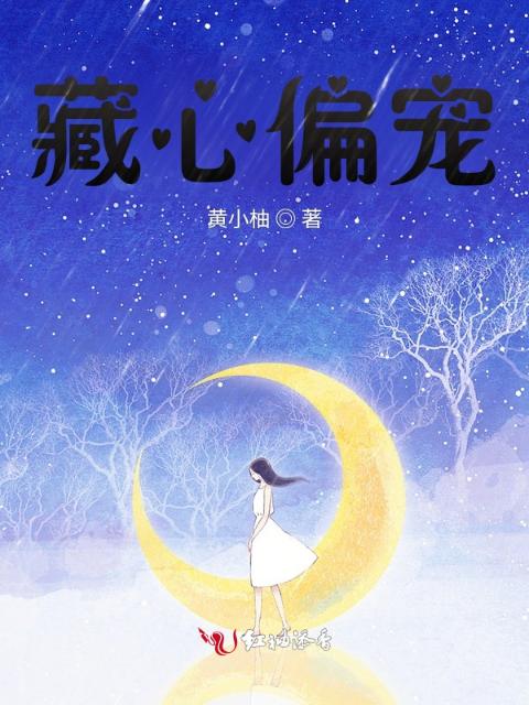 藏心偏宠