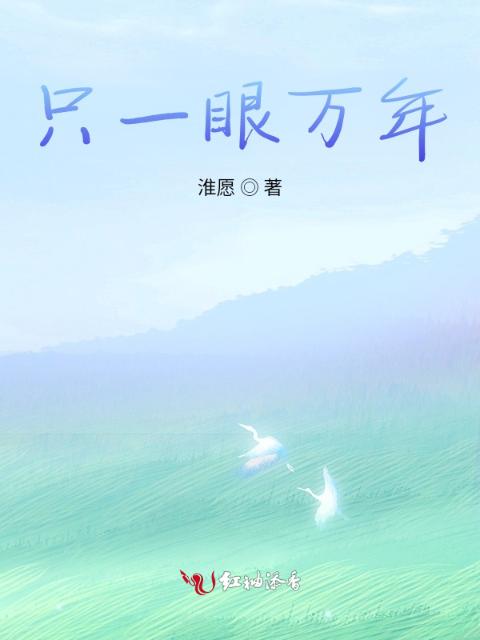 只一眼万年