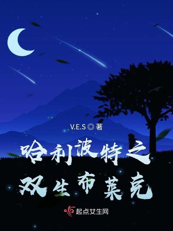 哈利波特之双生布莱克