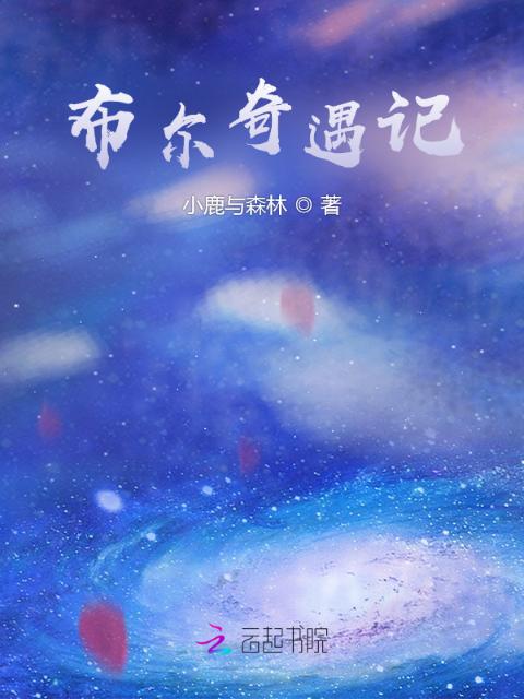 布尔奇遇记