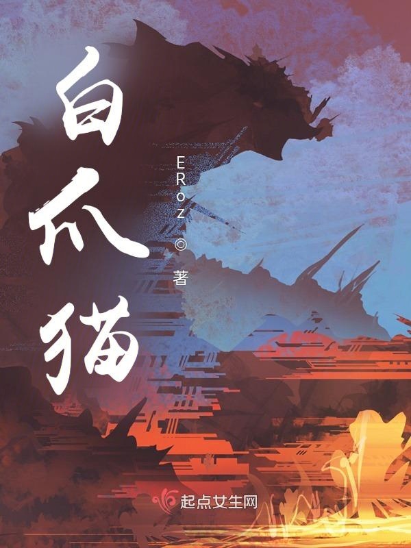 白爪猫