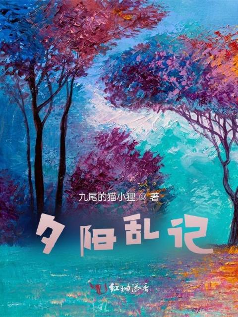 夕阳乱记