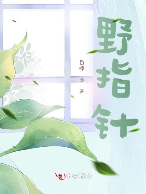 野指针
