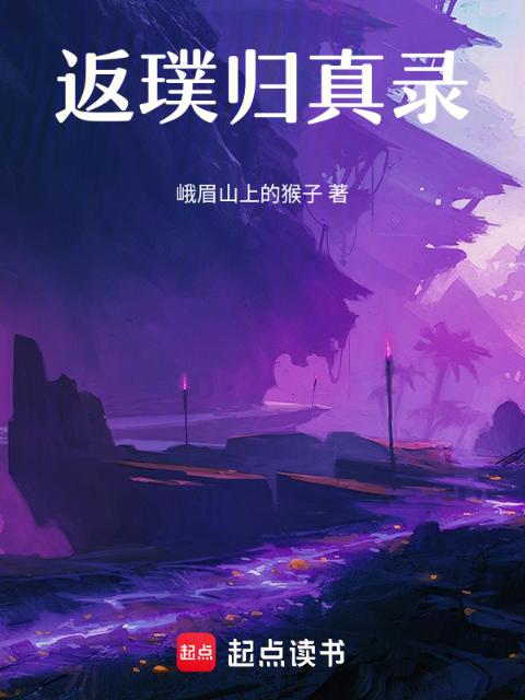 返璞归真录