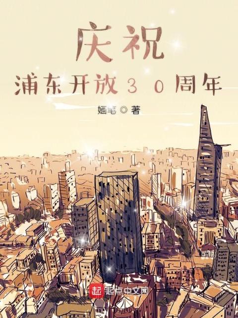 庆祝浦东开放30周年