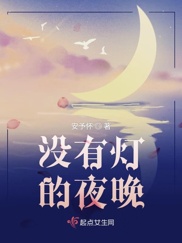 没有灯的夜晚