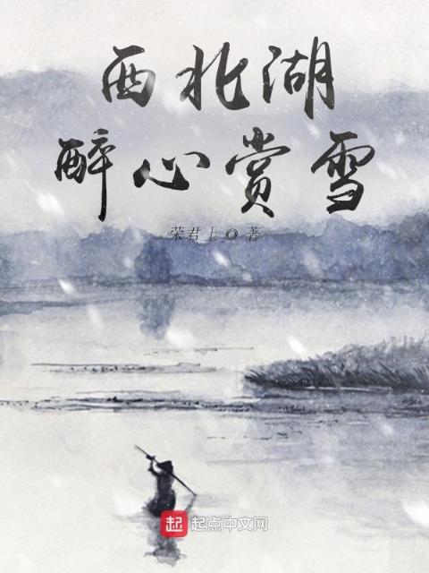 西北湖醉心赏雪