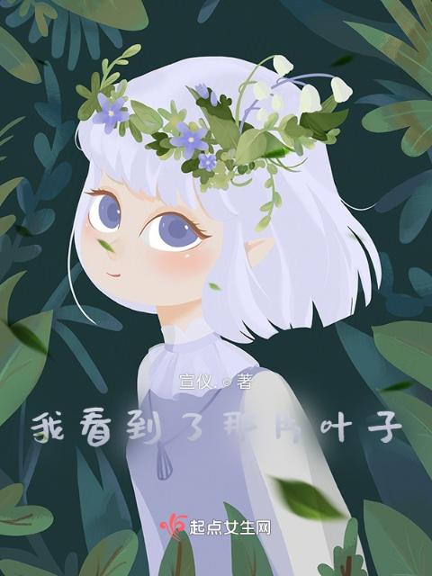 我看到了那片叶子