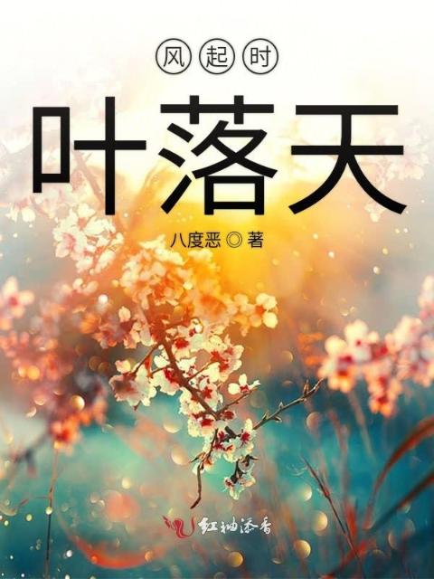风起时叶落天
