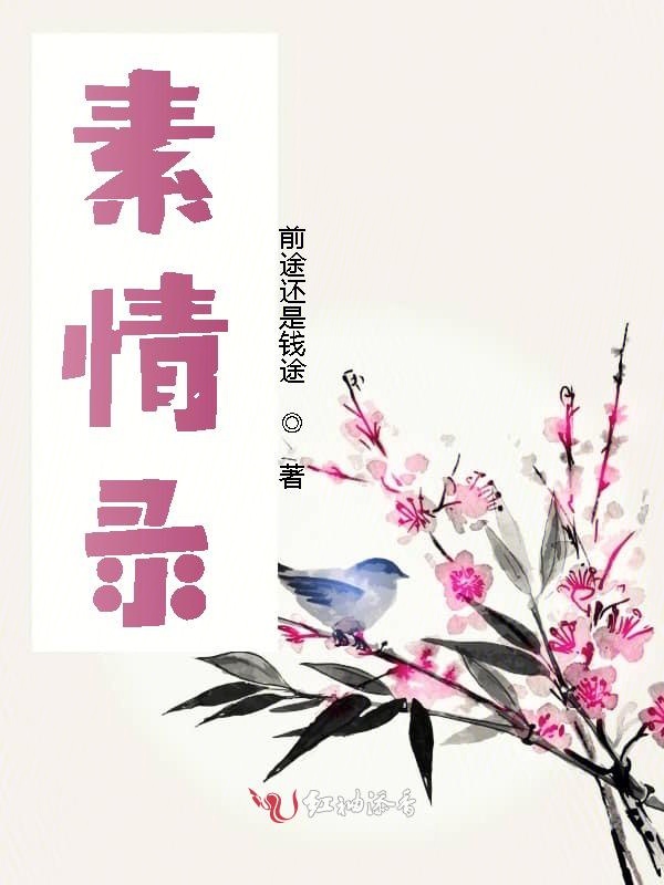素情录