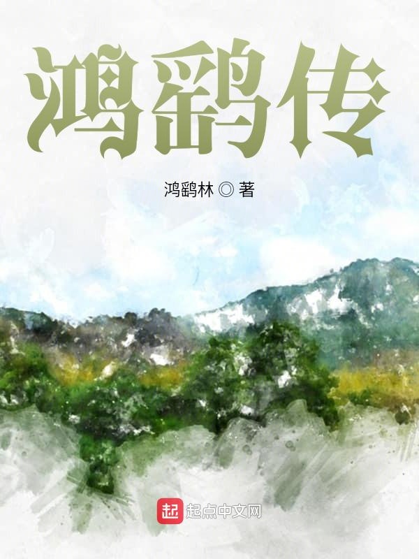 鸿鹞志