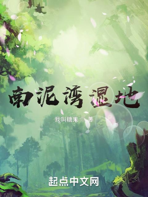 南泥湾湿地