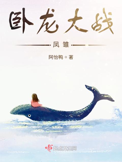 卧龙大战凤雏