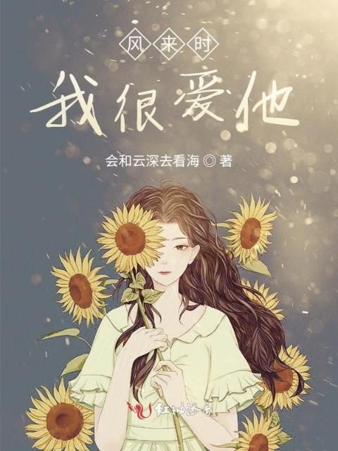 风来时我很爱他