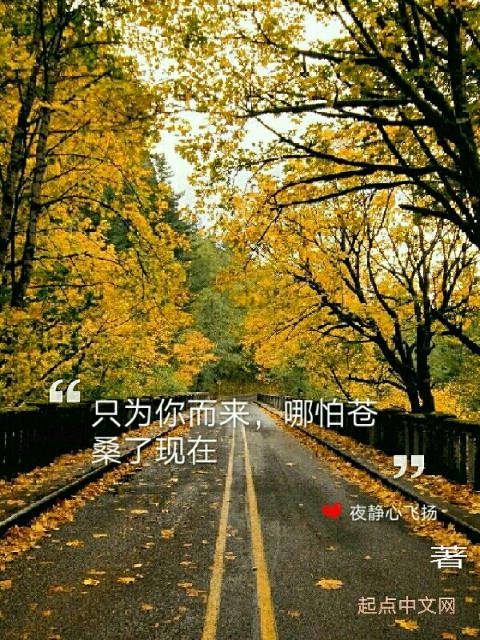 只为你而来，哪怕苍桑了现在