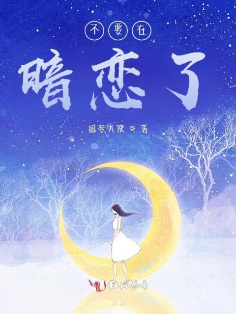 不要在暗恋了
